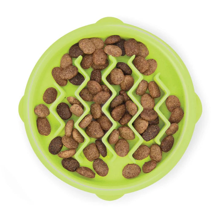 Hound Kitty Slow Feeder Cat Bowl